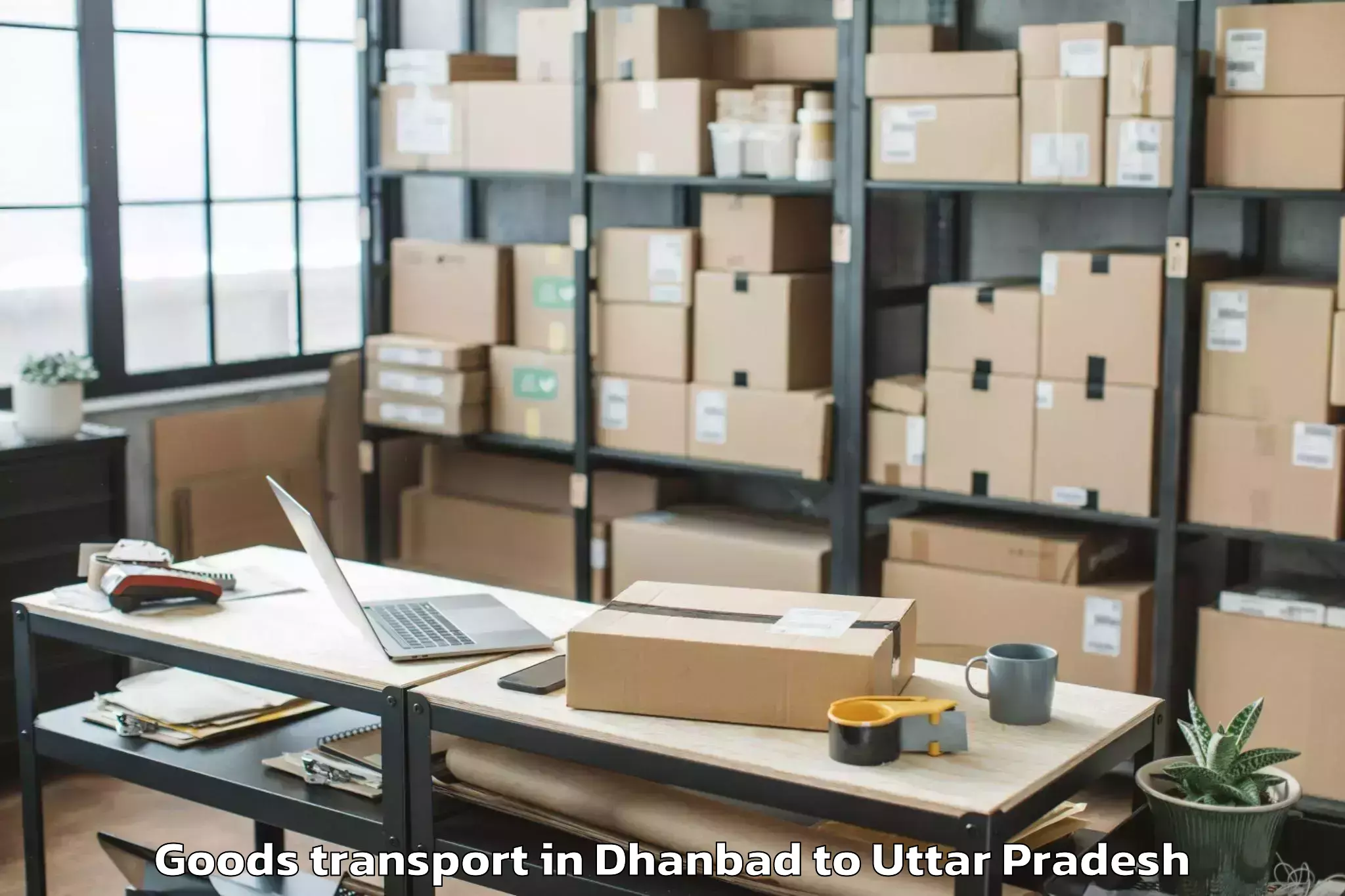 Book Dhanbad to Jagadguru Rambhadracharya Hand Goods Transport Online